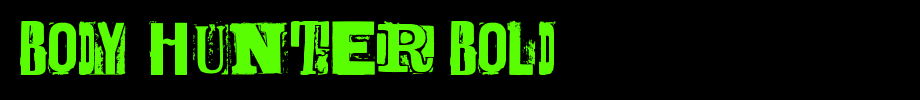 BODY-HUNTER-Bold.ttf
(Art font online converter effect display)