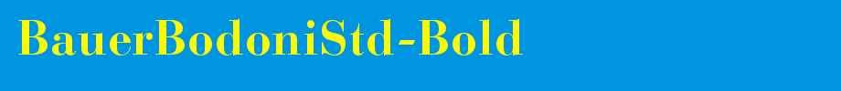 Bauerbodonsted-bold _ English font