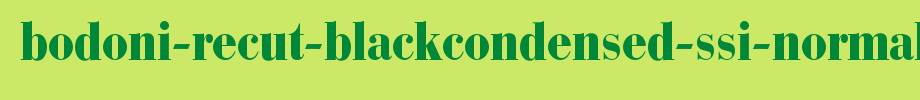 Bodoni-Recut-BlackCondensed-SSi-Normal.ttf
(Art font online converter effect display)