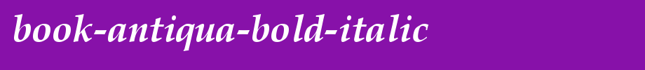 Book-Antiqua-Bold-Italic.TTF
(Art font online converter effect display)