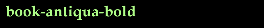 Book-Antiqua-Bold.TTF
(Art font online converter effect display)