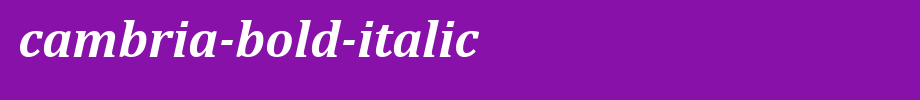 Cambria-Bold-Italic.ttf(艺术字体在线转换器效果展示图)