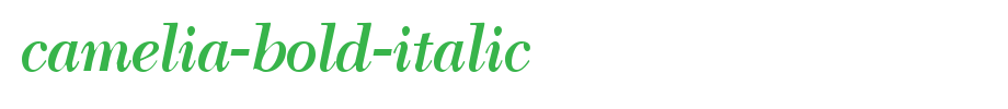 Camelia-Bold-Italic.ttf(字体效果展示)