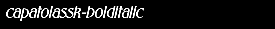 CapatolaSSK-BoldItalic.ttf
(Art font online converter effect display)