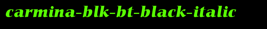 Carmina-Blk-BT-Black-Italic.ttf(艺术字体在线转换器效果展示图)