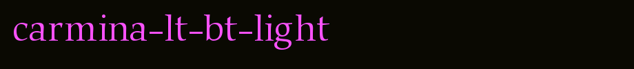 Carmina-Lt-BT-Light.ttf
(Art font online converter effect display)