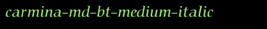 Carmina-Md-BT-Medium-Italic.ttf(字体效果展示)