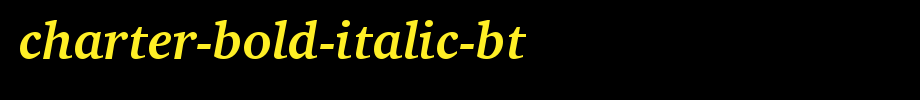 Charter-Bold-Italic-BT_ English font