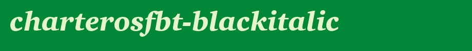 CharterOSFBT-BlackItalic.otf
(Art font online converter effect display)