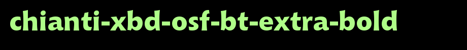 Chianti-XBd-OSF-BT-Extra-Bold.ttf(字体效果展示)