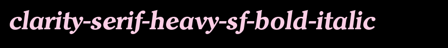 Clarity-Serif-Heavy-SF-Bold-Italic.ttf