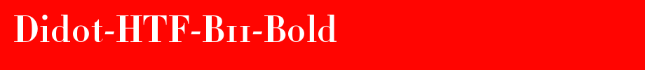 Didot-HTF-B11-Bold_ English font
(Art font online converter effect display)