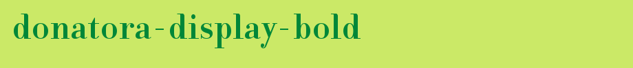 Donatora-Display-Bold.ttf(字体效果展示)