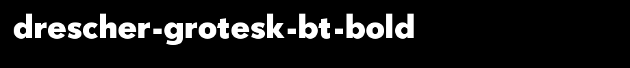 Drescher-Grotesk-BT-Bold.ttf
(Art font online converter effect display)