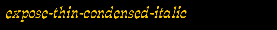 Expose-Thin-Condensed-Italic.ttf(艺术字体在线转换器效果展示图)