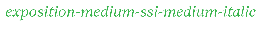 Exposition-Medium-SSi-Medium-Italic.ttf(艺术字体在线转换器效果展示图)