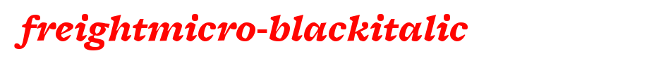 FreightMicro-BlackItalic.ttf(艺术字体在线转换器效果展示图)