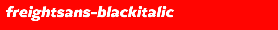 FreightSans-BlackItalic.ttf
(Art font online converter effect display)