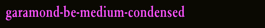 Garamond-BE-Medium-Condensed.ttf
(Art font online converter effect display)