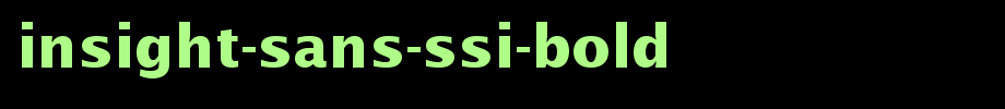 Insight-Sans-SSi-Bold.ttf(字体效果展示)