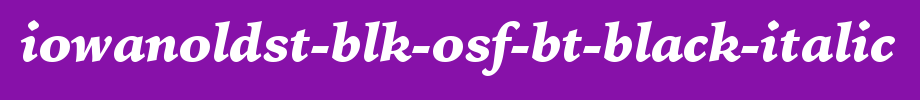 IowanOldSt-Blk-OSF-BT-Black-Italic.ttf
(Art font online converter effect display)