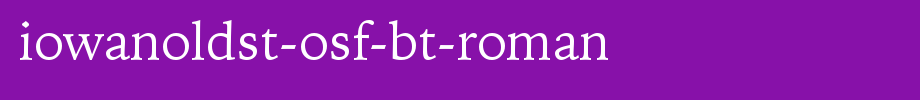IowanOldSt-OSF-BT-Roman.ttf
(Art font online converter effect display)