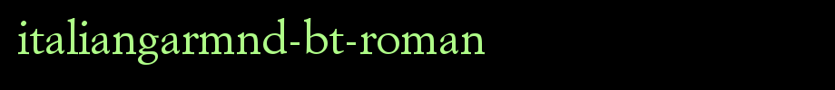 ItalianGarmnd-BT-Roman.ttf
(Art font online converter effect display)