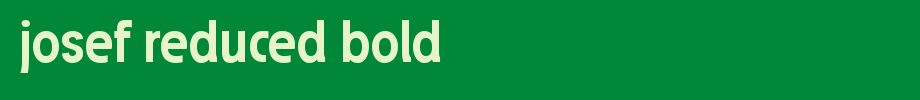 Josef-reduced-Bold.ttf
(Art font online converter effect display)