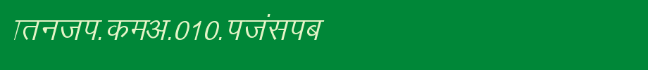 Kruti-Dev-010-Italic.ttf