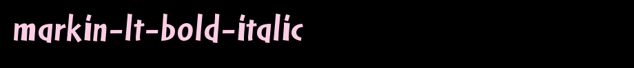 Markin-LT-Bold-Italic.ttf
(Art font online converter effect display)