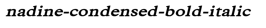 Nadine-Condensed-Bold-Italic.ttf
(Art font online converter effect display)