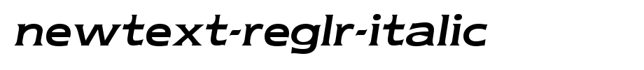 Newtext-Reglr-Italic.ttf(字体效果展示)