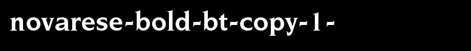 Novarese-Bold-BT-copy-1-.ttf
(Art font online converter effect display)