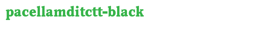 PacellaMdITCTT-Black.ttf
(Art font online converter effect display)