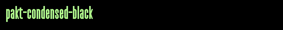 Pakt-Condensed-Black.ttf
(Art font online converter effect display)