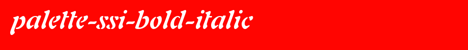Palette-SSi-Bold-Italic_英文字体