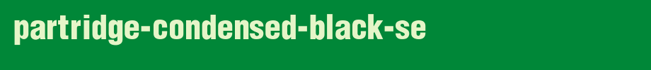 Partridge-Condensed-Black-Se_ English font