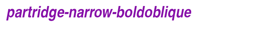 Partridge-Narrow-BoldOblique.ttf
(Art font online converter effect display)