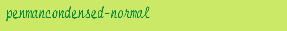 PenmanCondensed-Normal.ttf
(Art font online converter effect display)