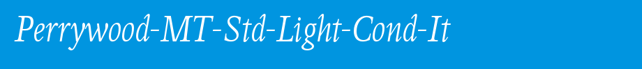 Perry wood-mt-STD-light-cond-it _ English font