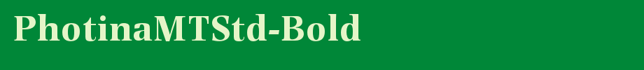 Photonamtstd-bold _ English font
(Art font online converter effect display)