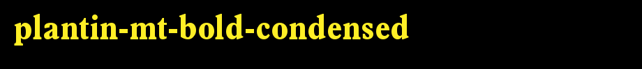 Plantin-MT-Bold-Condensed.ttf
(Art font online converter effect display)