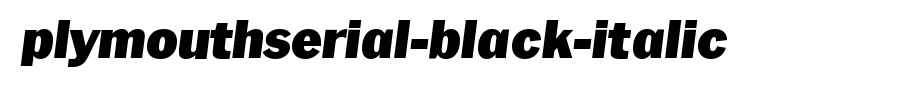 PlymouthSerial-Black-Italic.ttf
(Art font online converter effect display)