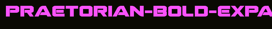 Praetorian-Bold-Expanded.ttf
(Art font online converter effect display)