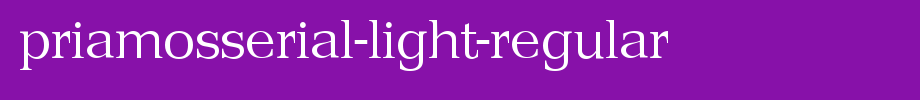 PriamosSerial-Light-Regular.ttf
(Art font online converter effect display)
