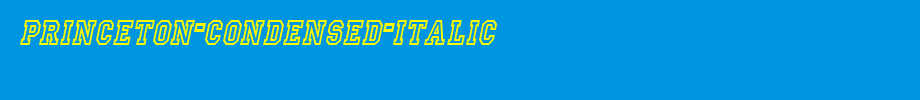 Princeton-Condensed-Italic_ English font
(Art font online converter effect display)
