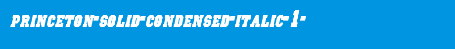 Princeton-Solid-Condensed-Italic-1-.ttf
(Art font online converter effect display)