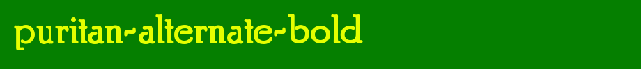 Puritan-Alte rnate-Bold.ttf
(Art font online converter effect display)