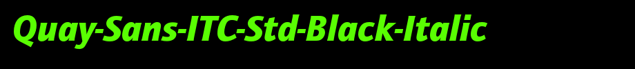Quay-sans-ITC-STD-black-italic _ English font