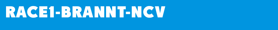 Race 1-brant-ncv. OTF nice English font
(Art font online converter effect display)